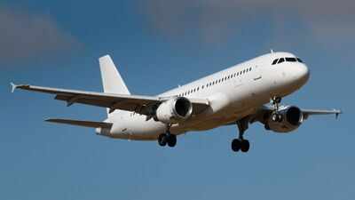 The hidden airplane space most passengers never see: Why flight attendants rely on the 'sin bin' during long journeys
