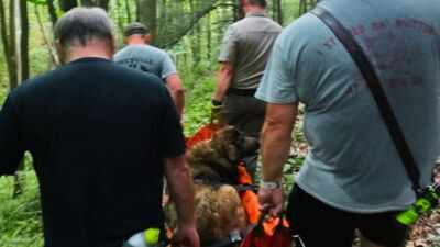 A 102-pound dog could not make it down a mountain. Volunteers carried her for four hours
