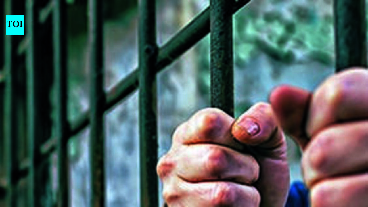 Global experts deliberate on crime, victim justice