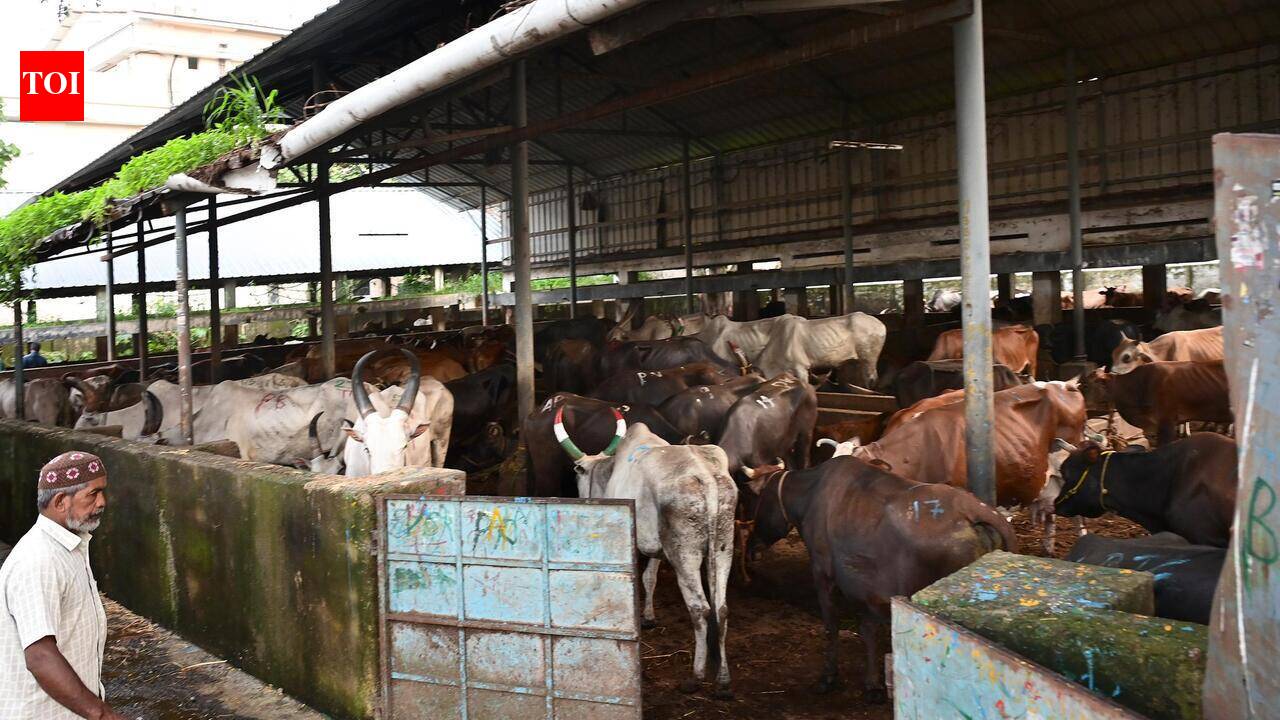 Kochi corporation may shift slaughterhouse to Cheranelloor from Kaloor