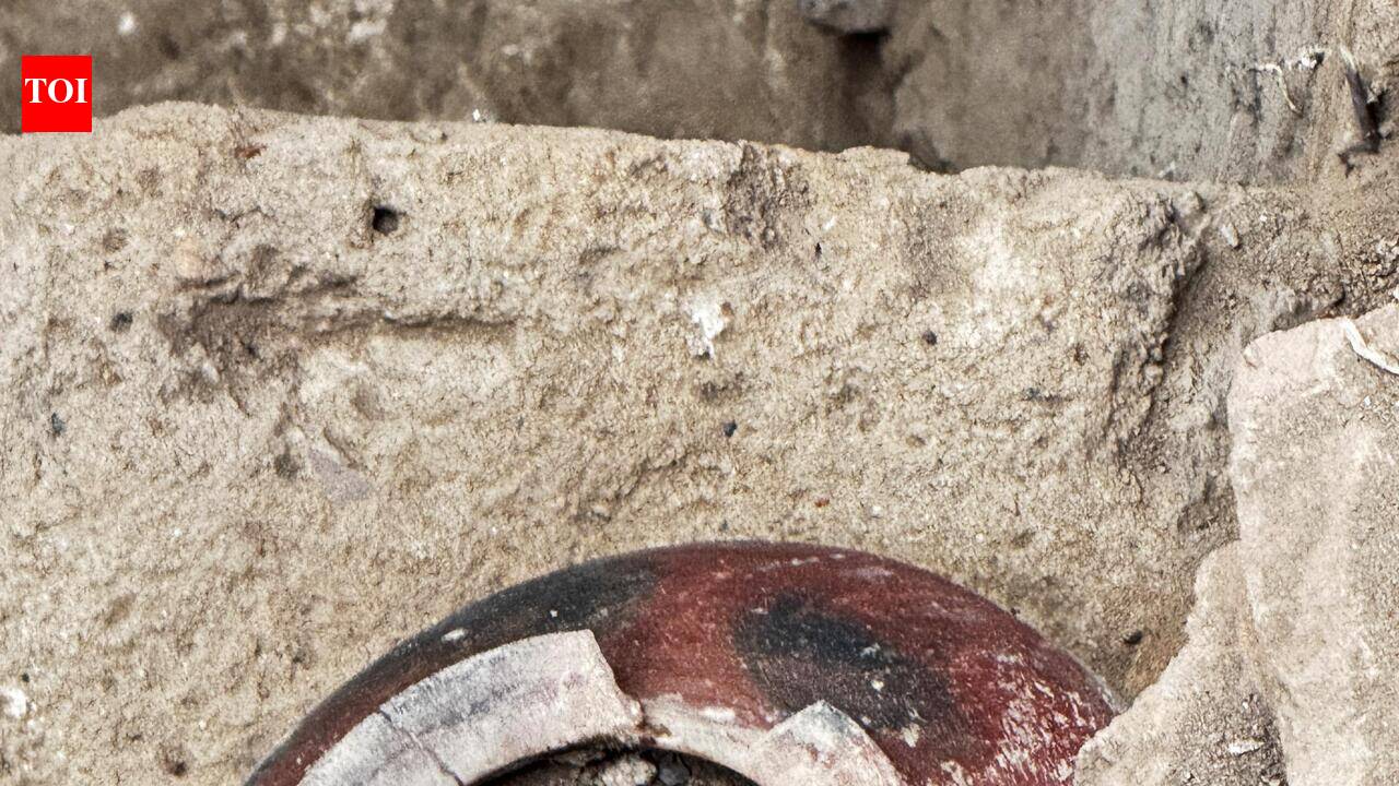 Rare intact red-slipped pot with fish graffiti unearthed in Keeladi