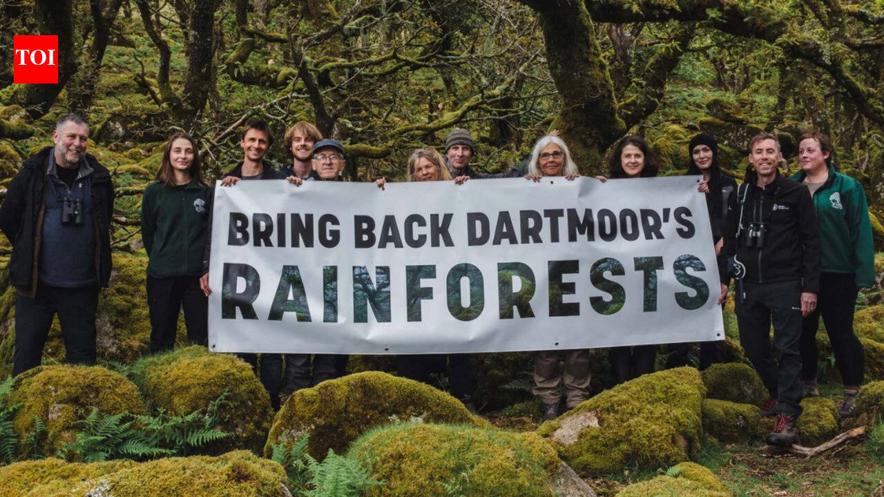 Prince William’s Duchy of Cornwall is helping double one of the last surviving temperate rainforests