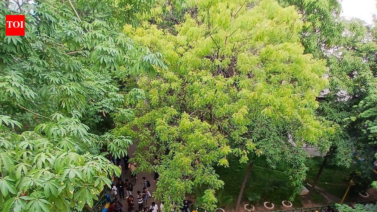 Chennai college students protest on campus in their own ways in support of Delhi protesters
