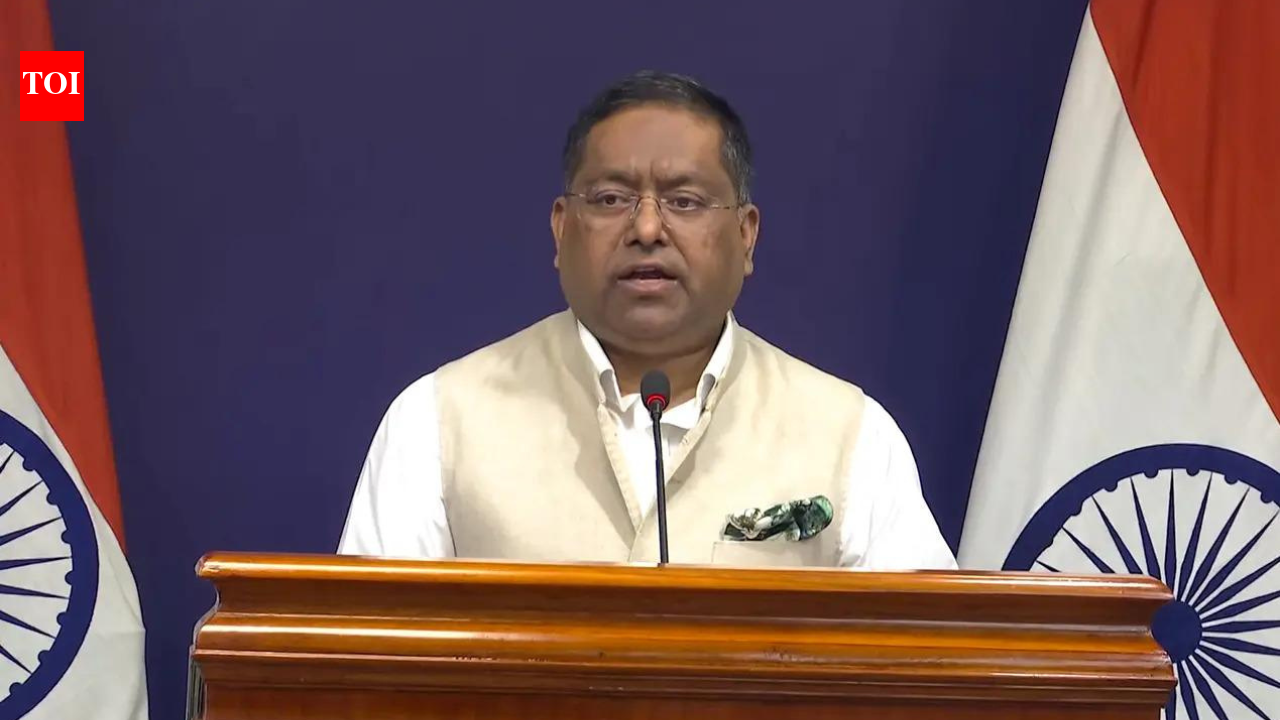 Grain, not guns: MEA rejects Russia's claim on deadly ship attack that killed 4 Indians