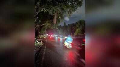 Lights defunct, pothole-ridden Camp road turns into death trap