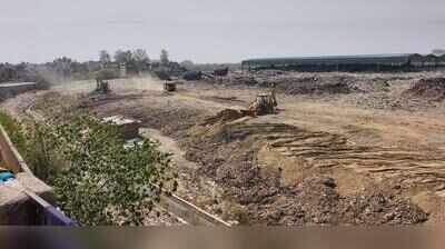 MC to deploy guards, gardeners to protect Dadumajra green buffer