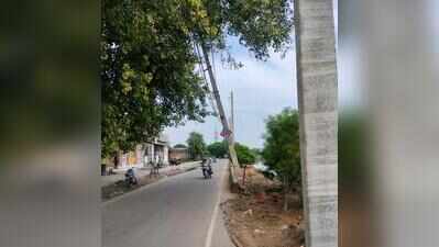 Rats erode canal banks, tilt power poles