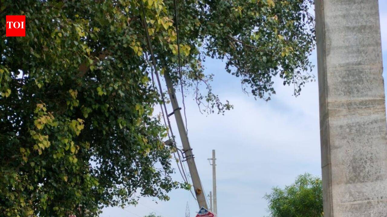 Rats erode canal banks, tilt power poles