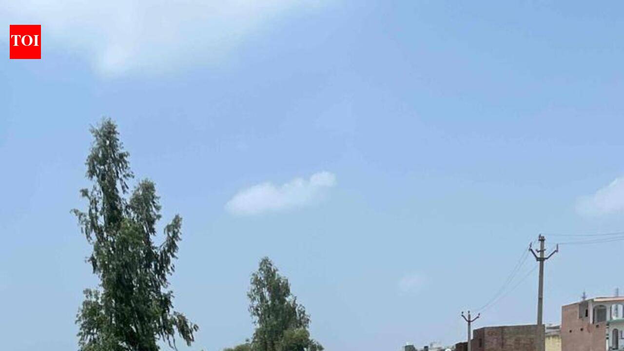 UP sanctions Rs 32 lakh to earmark Khokhari floodplain after NGT order
