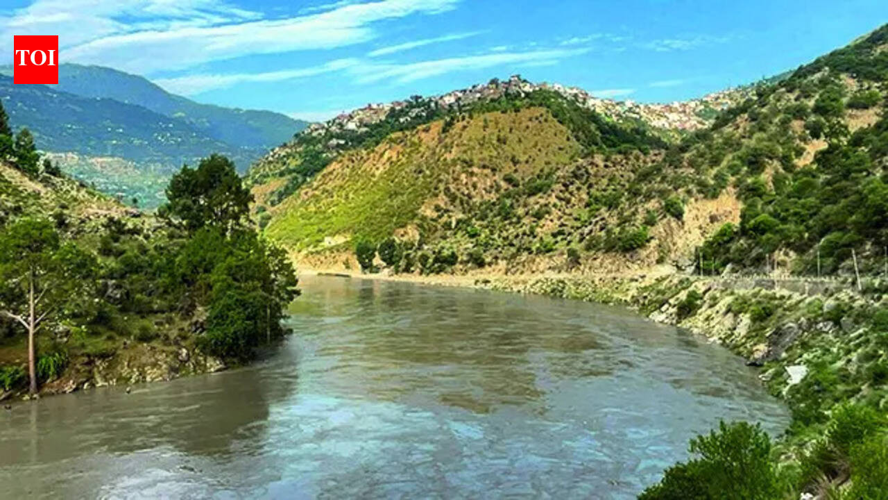 Govt dismisses Pak allegation of India deliberately causing flooding