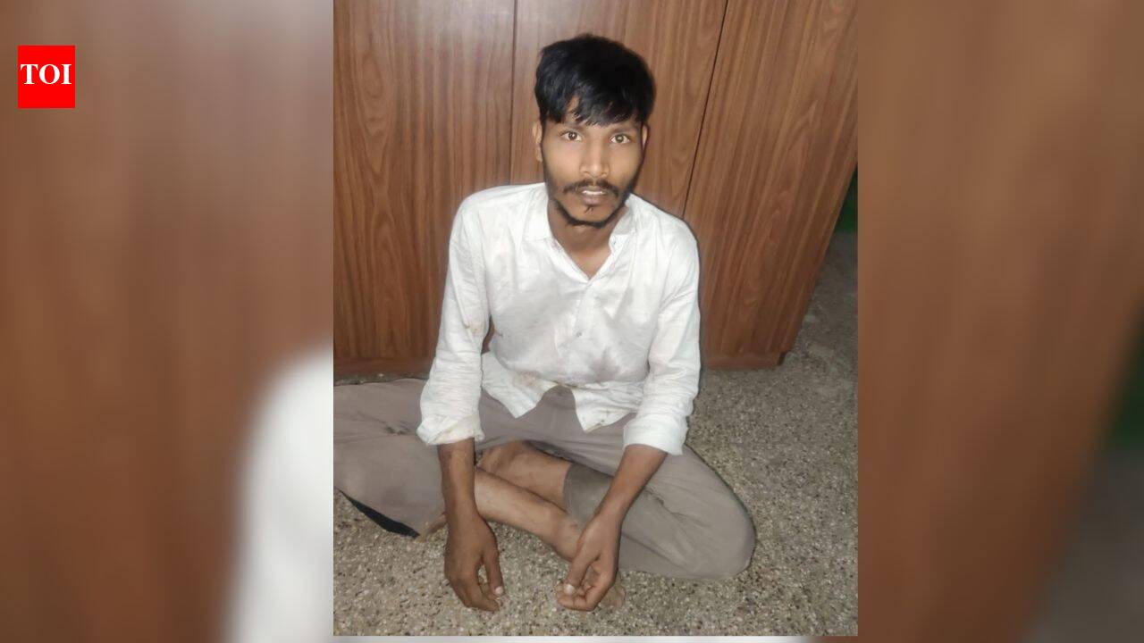 Bengaluru horror: Man arrested for sexually assaulting cow
