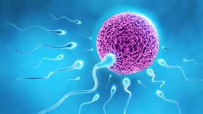 How IVF changed millions of lives: The story behind World IVF Day