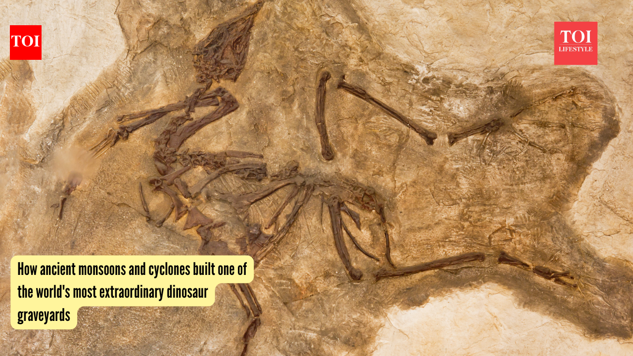 How ancient monsoons and cyclones built one of the world's most extraordinary dinosaur graveyards