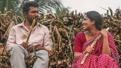 'Nooru Saami' OTT release date confirmed: When and where to watch Vijay Antony and Swasika's emotional drama