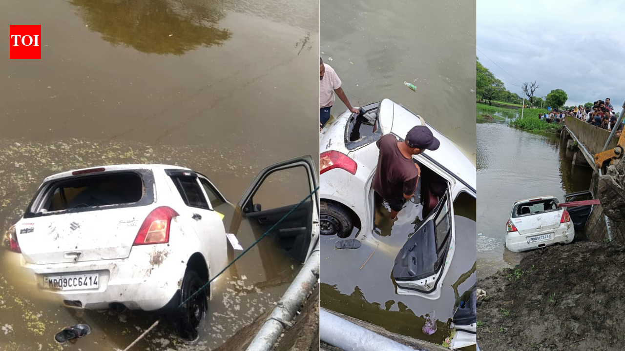5 killed as speeding car plunges into roadside dam in MP's Rajgarh