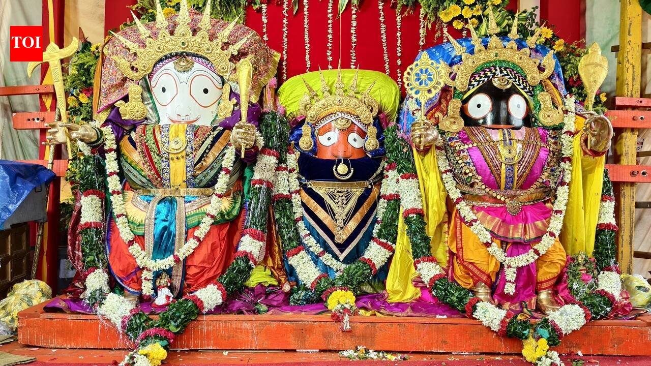 Devotees witness Suna Besha at tallest chariot