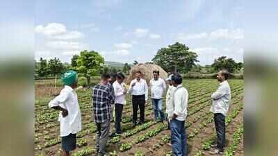 Erratic weather raises disease fears in Belagavi’s crops