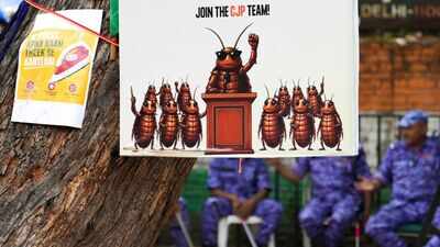 One post, 6 words, 37 days, one resignation: How 'cockroaches' crawled into corridors of power