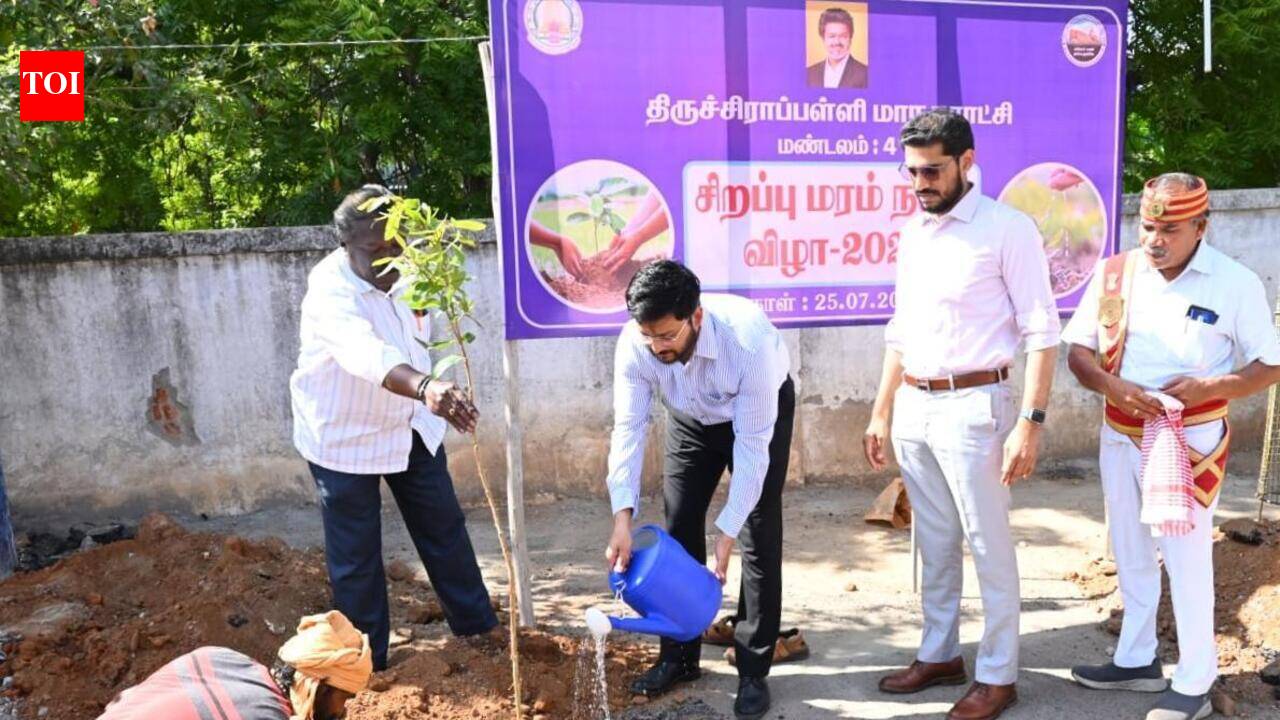 Trichy corpn to raise 3 lakh trees to combat  heat stress in 36 wards