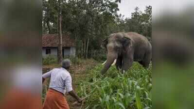 District reviews human-wildlife conflict measures, development projects
