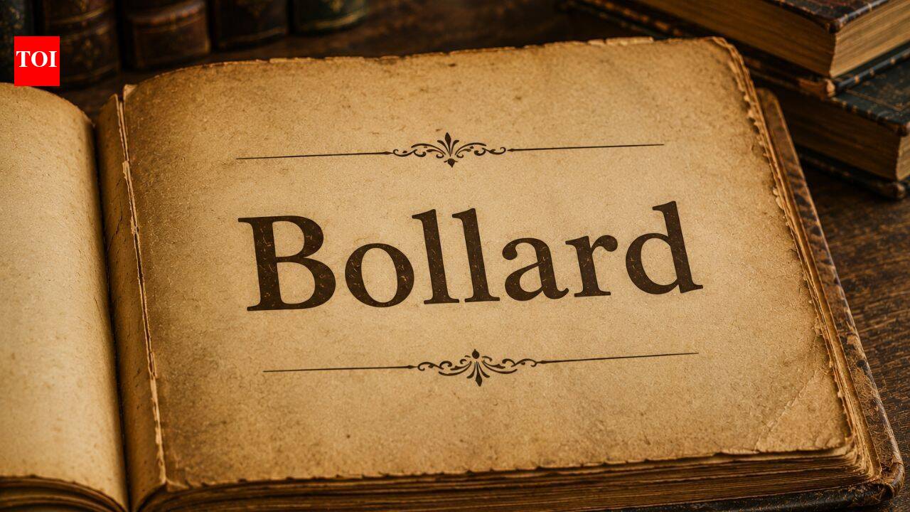 Word of the day: Bollard
