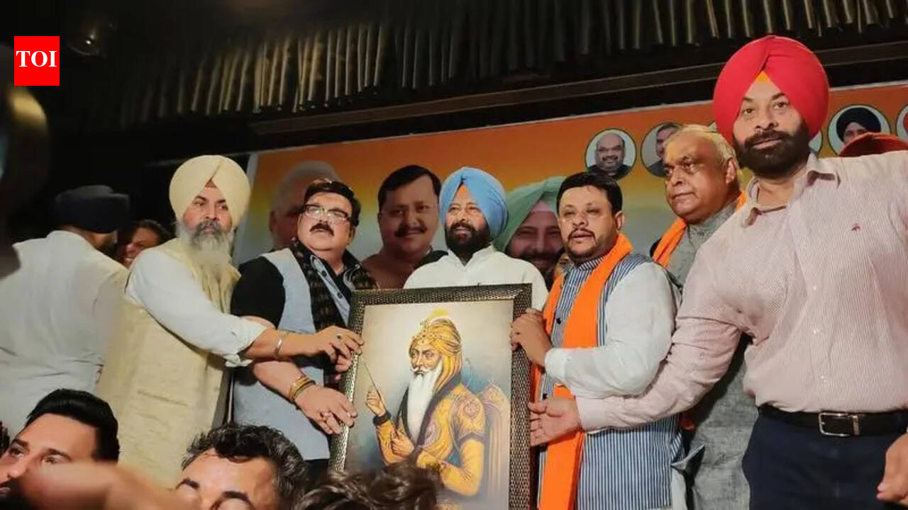 Punjab BJP defends Pradhan’s resignation | Chandigarh News  timesofindia.indiatimes.com
