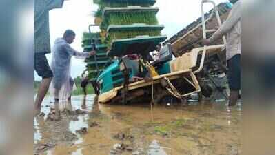 Delayed desilting leaves Bicholim paddy fields submerged for fourth year