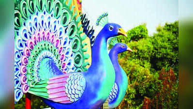 Iffi invites entries for 57th Goa edition