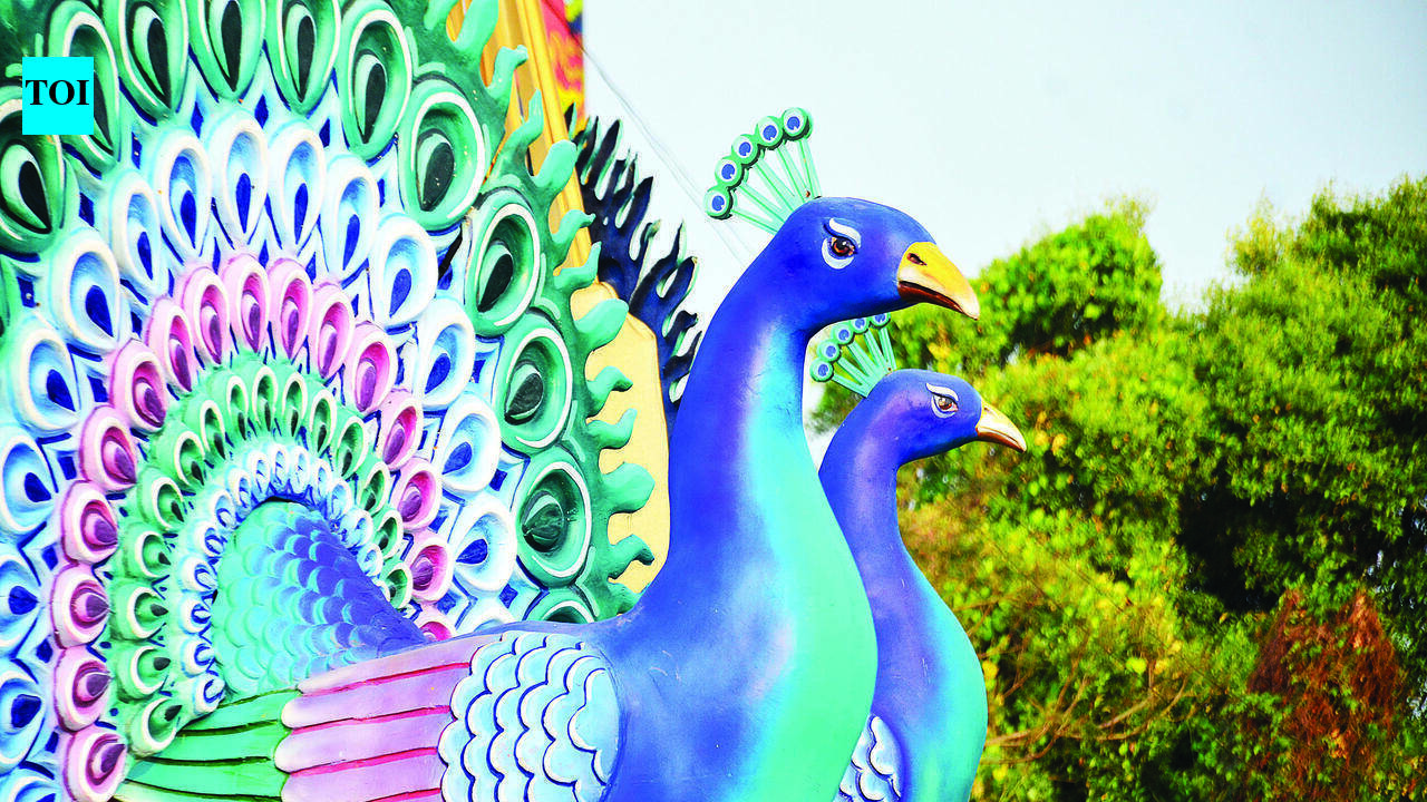 Iffi invites entries for 57th Goa edition