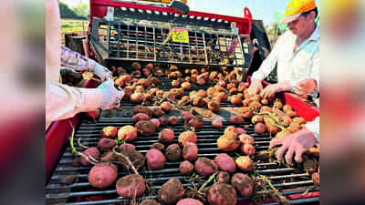 Sunday Special: Gujarat farmers turn to tech to beat labour crisis