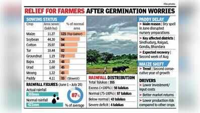 July rains spark strong recovery for Maharashtra’s kharif season; 80% sowing complete
