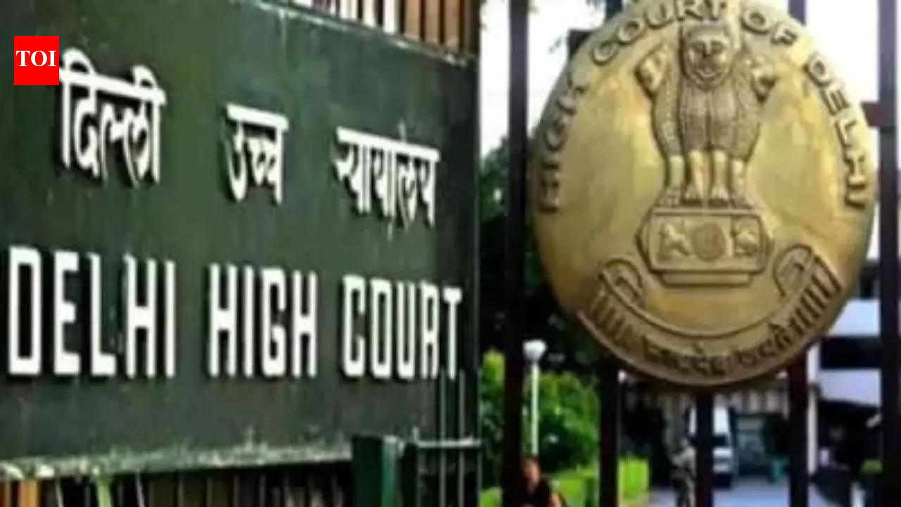 Can’t say those sleeping on pavement negligent, says Delhi high court