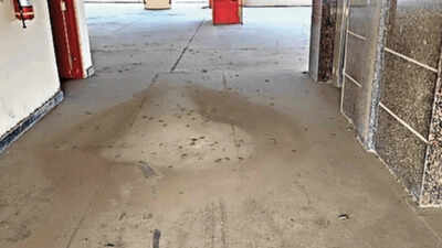 Rs 80-crore parking complex at Yeshwantpur APMC in Bengaluru gathers dust before opening
