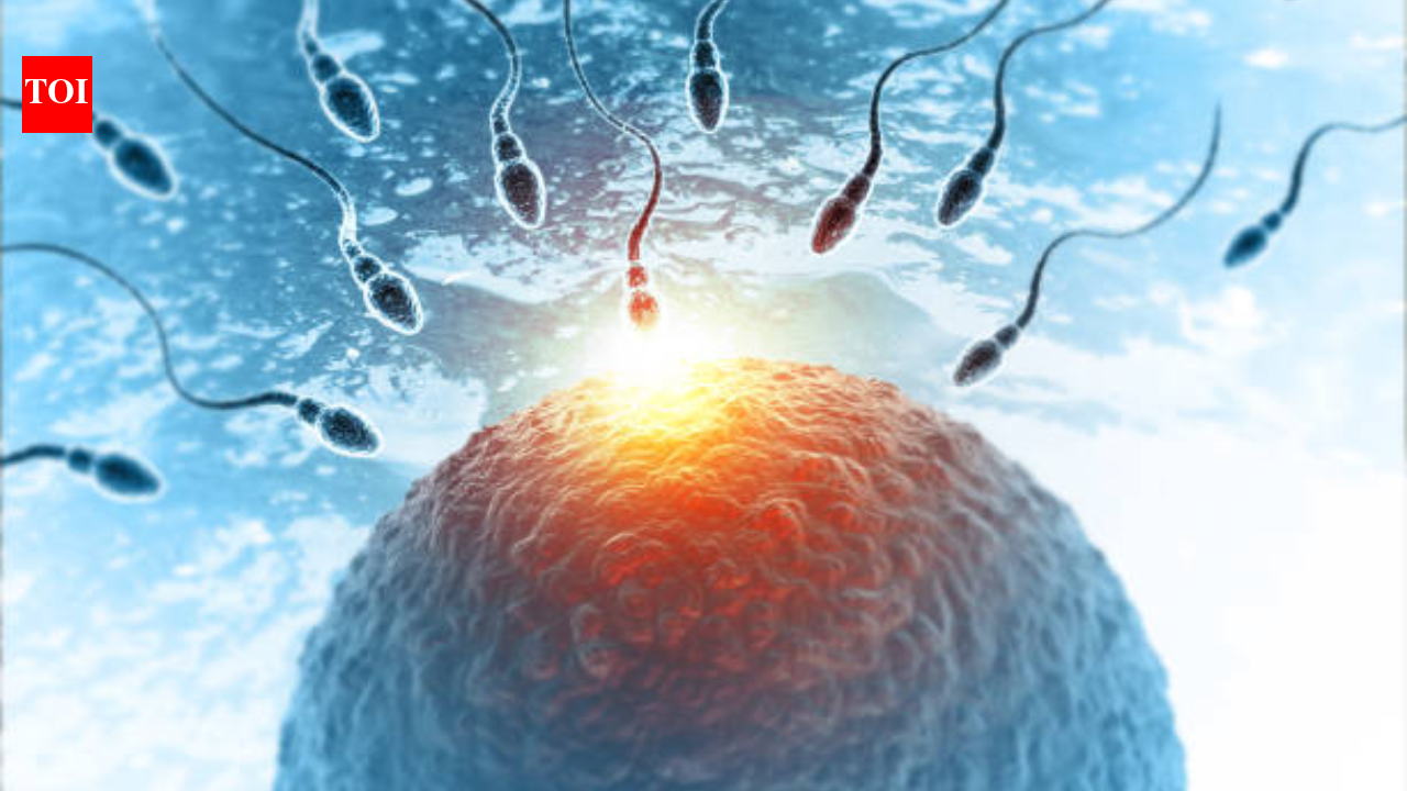 Egg freezing or IVF? Doctors explain what women need to know about fertility preservation and pregnancy