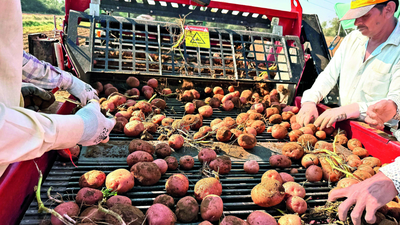 Sunday Special: Gujarat farmers turn to tech to beat labour crisis