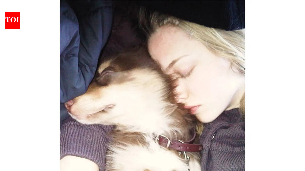 Amanda Seyfried mourns death of beloved dog Finn at 16: 'This one's forever and ever'