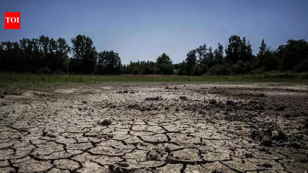 PM Modi pitches water conservation amid widespread monsoon deficit