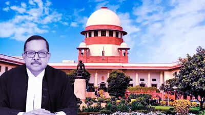 ‘No law prohibits eating chicken over Ganga river’: Supreme Court judge flags delayed bail