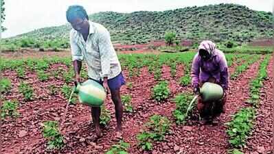 Farmer couple carries water in pots to save cotton crop In Ballari