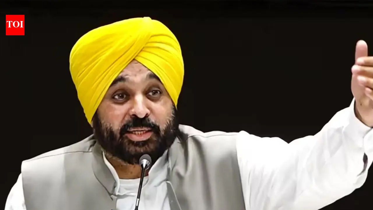 'Not a single paper leaked in 4.5 years': Punjab CM Bhagwant Singh Mann hits back at BJP's paper leak allegations