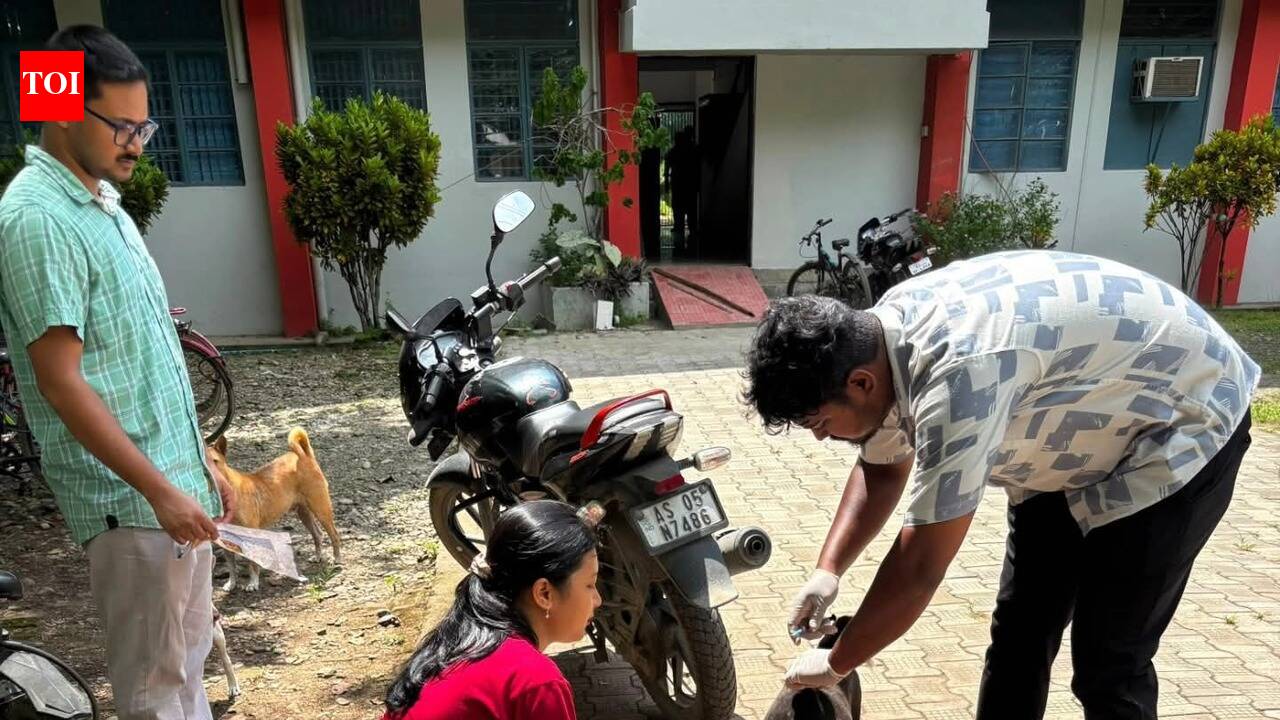 Over 70 stray dogs on Dibrugarh University campus get anti-rabies vax for safer coexistence