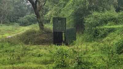 Leopard hides in village bathroom overnight, woman escapes narrowly