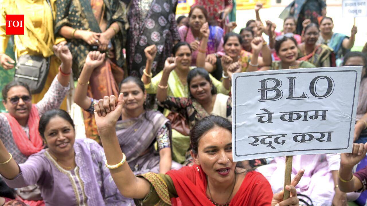 High court flags impact of booth-level officer duties on teaching, seeks Maharashtra’s reply in two weeks