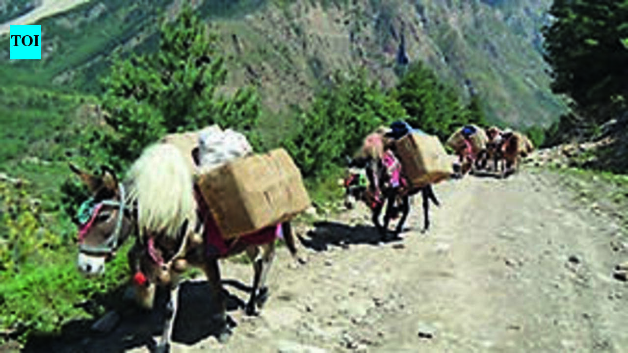 India-Tibet border trade: After 2-month wait, China allows only 20 traders, no goods in first batch