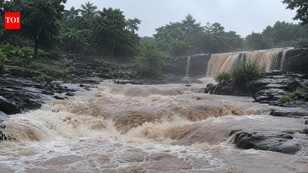 1 dead, 3 rescued after flash flood hits waterfall in Thane; search on for missing tourist