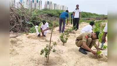 Chennai forest officials, NCC cadets mark Mangrove Forest Day with fresh plantation drive