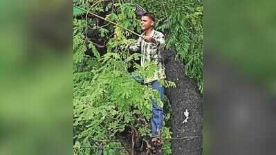 Euphoric in victory, youth flag policy fatigue, E20 rule; Mumbai student groups plan coalition