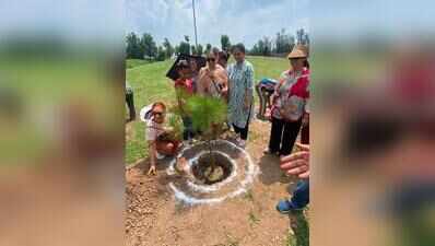 Chandigarh tree lovers celebrate decade of green activism with plantation drive