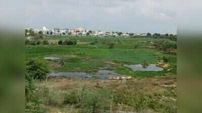 RK Puram lake turns into garbage dump as 7-year restoration project stalls