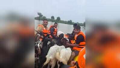 Army rescues 790+ people as Gujarat flood relief operations end